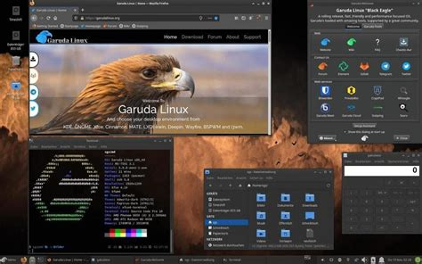 Garuda Garuda Linux